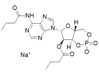 N6,2′-O-二丁?；佘?′,5′-環(huán)磷酸 鈉鹽，97%