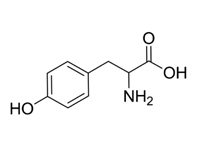 DL-酪氨酸，98%