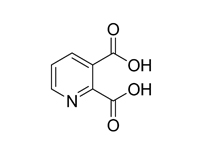 2，3-吡啶二羧酸, 99%（GC）